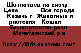 Шотландец на вязку › Цена ­ 1 000 - Все города, Казань г. Животные и растения » Кошки   . Башкортостан респ.,Мечетлинский р-н